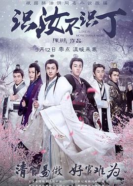 孙茜《识汝不识丁》剧照海报